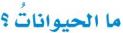 ما الحيوانات